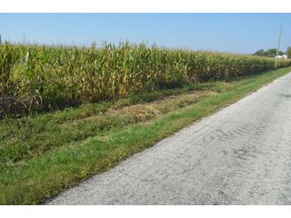 Property photo 21 - REAL ESTATE AUCTION - 604+/- ACRES IN 14 TRACTS IN MERCER CO., OHIO